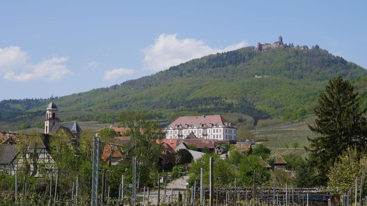 La Cour St-Fulrad - Appartements Saint-Hippolyte  Eksteriør bilde